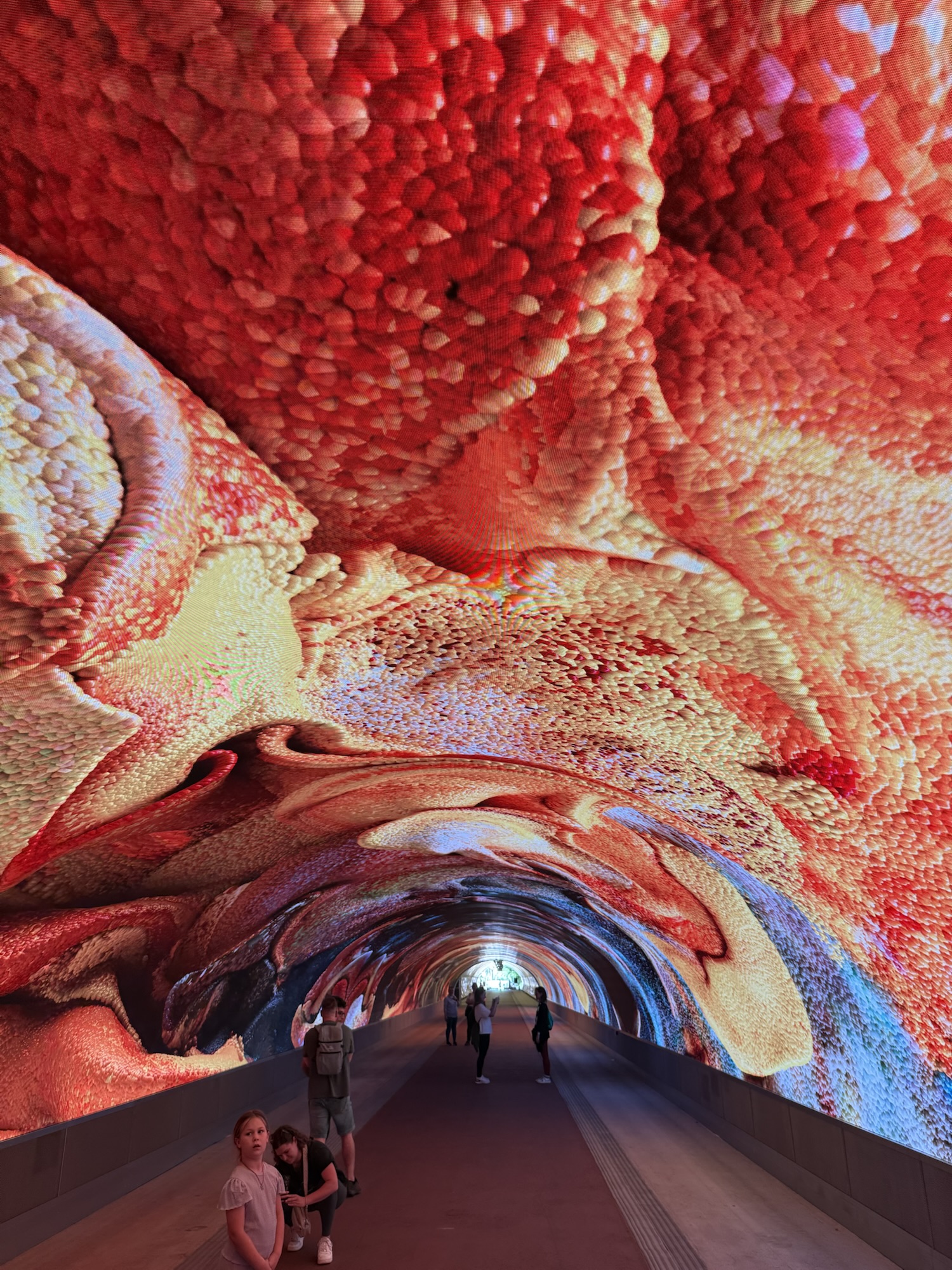 Into the Hill: Refik Anadol at the Digital Art Gallery, Gorizia